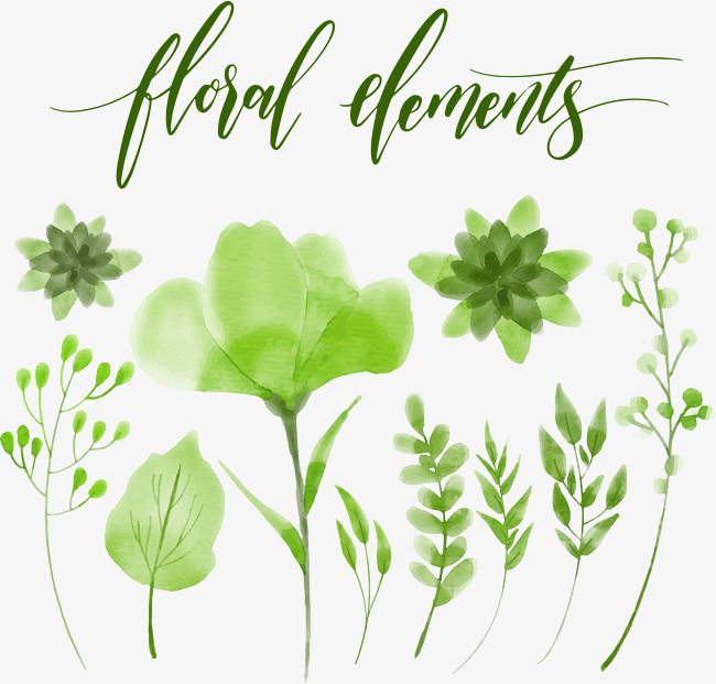 650x621 Vector Hand Painted Watercolor Leaves Leaves Png Images - Watercolor Leaves Vector