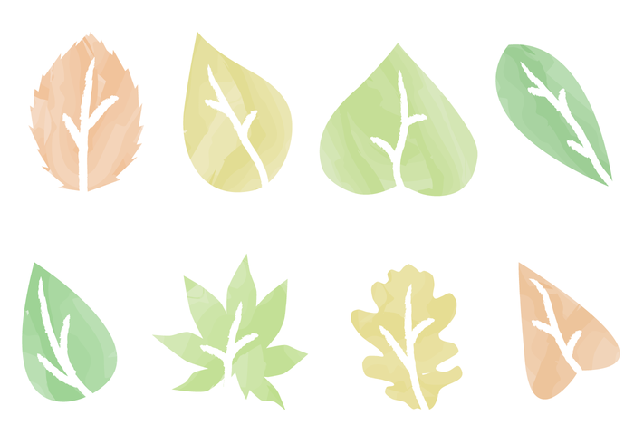 700x490 Watercolor Leaves Vector - Watercolor Leaves Vector