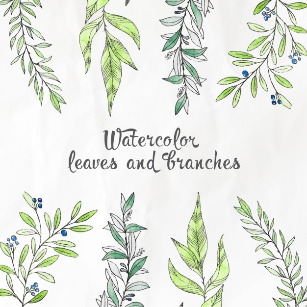 626x626 Watercolor Leaves And Branches Vector Free Download - Watercolor Leaves Vector