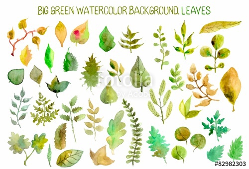 500x340 Watercolor Leaves Collection Stock Image And Royalty Free Vector - Watercolor Leaves Vector