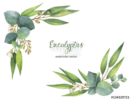 500x385 Watercolor Vector Wreath With Green Eucalyptus Leaves And Branches - Watercolor Leaves Vector