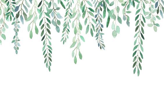 564x375 Pin By Ocak On Sticker Watercolor, Leaves And - Watercolor Leaves Wallpaper