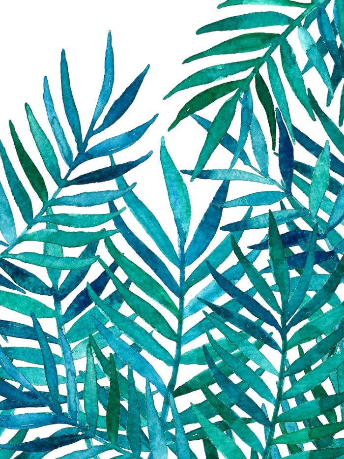 700x933 Watercolor Palm Leaves On White Art Print Prints - Watercolor Leaves Wallpaper