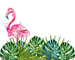 250x200 Watercolor Flamingo In Monstera Leaves Wallpaper - Watercolor Leaves Wallpaper