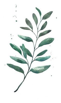 236x401 Advertise On Mykindofaesthetic Plants, Leaves And - Watercolor Leaves Wallpaper