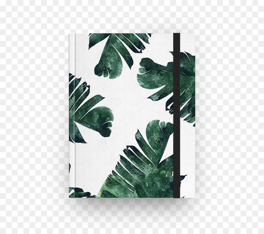 900x800 Download Banana Leaf Watercolor Painting Wallpaper Posters - Watercolor Leaves Wallpaper