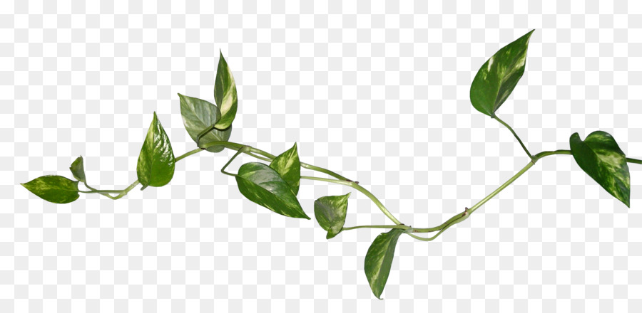 900x440 Download Blog Leaf Desktop Wallpaper Clip Art Watercolor Leaves - Watercolor Leaves Wallpaper