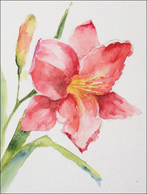 500x660 How To Paint Loose, Expressive Lilies In Watercolor Learning - Watercolor Lily