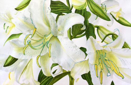 500x325 Watercolor Painting Demonstration Of Casa Blanca Lilies Floral - Watercolor Lily