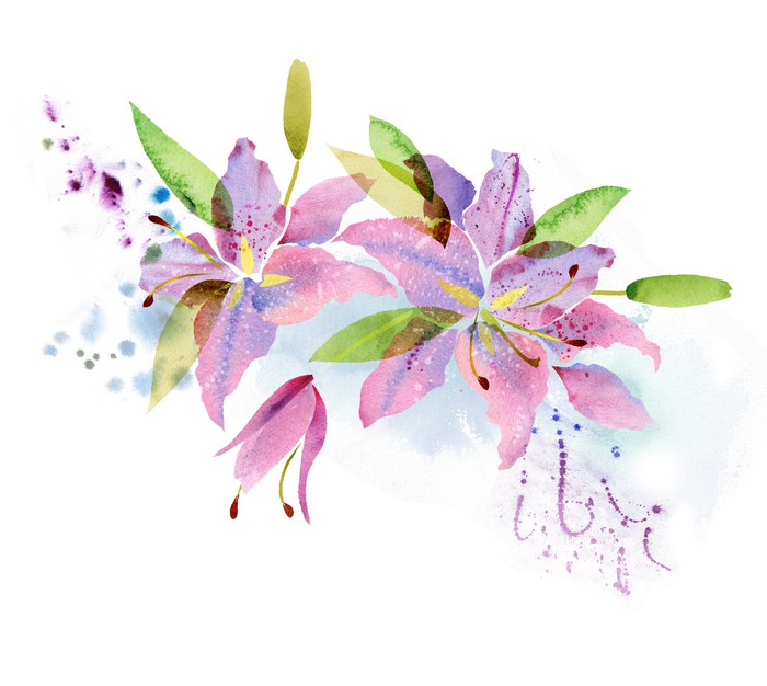 700x626 Watercolor Lily Wall Mural We Live To Change - Watercolor Lily