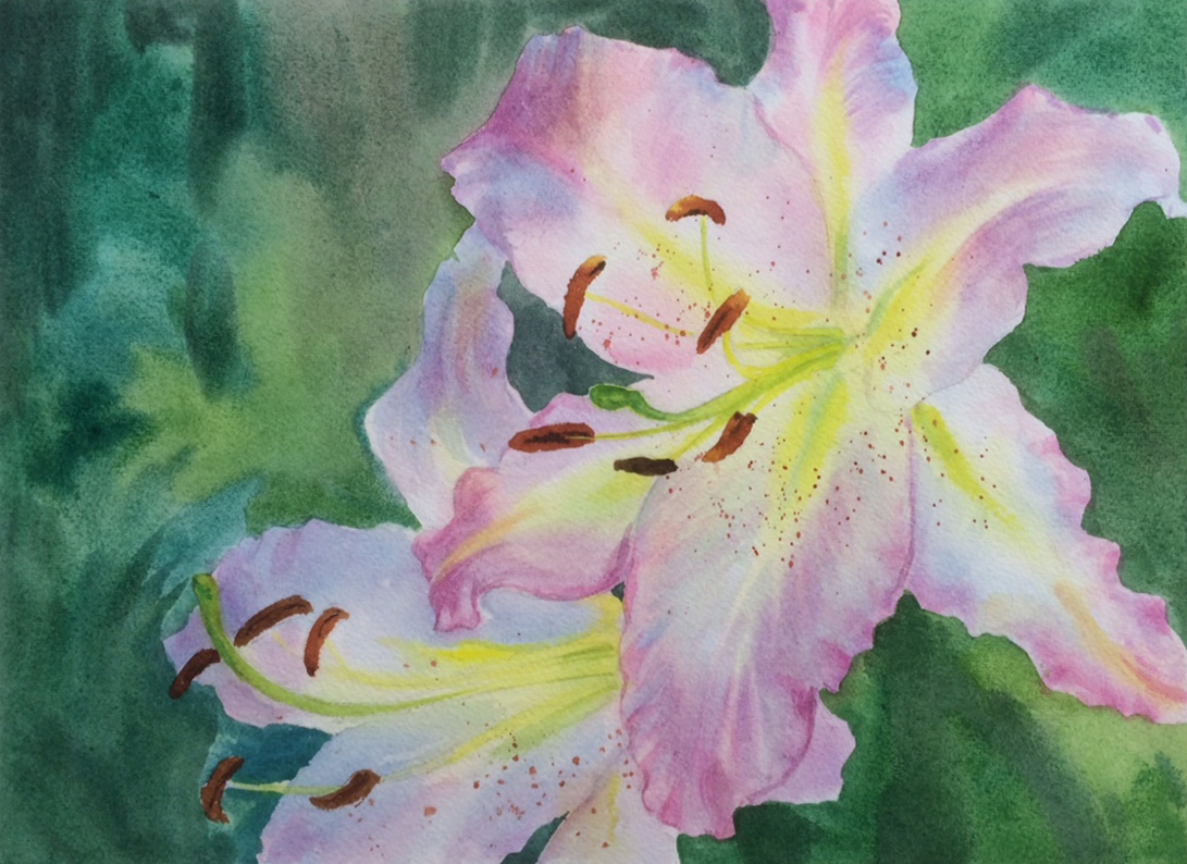 1091x794 Close Up Lily Flowers - Watercolor Lily