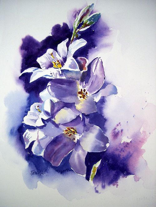 500x663 Easter Lilies Watercolor Flowers Watercolor - Watercolor Lily