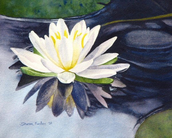 600x483 Lily Pad Flower - Watercolor Lily Pads