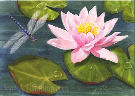 446x318 Sweet Lily With Dragonfly A Digitally Painted Watercolour - Watercolor Lily Pads