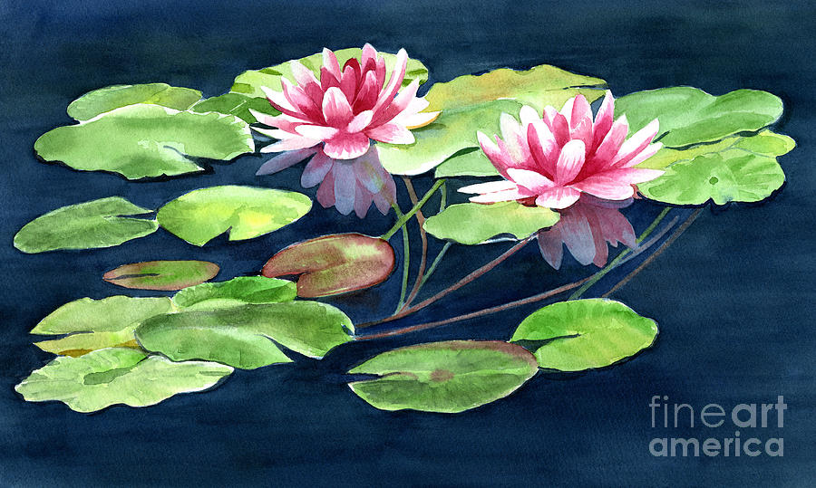 900x539 Two Water Lilies With Pads Painting By Sharon Freeman - Watercolor Lily Pads