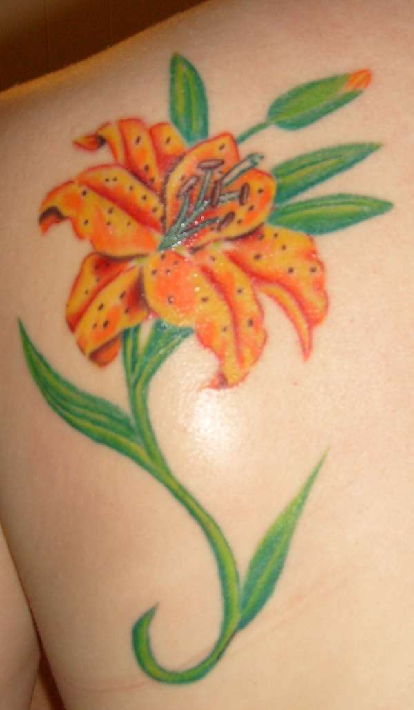 600x1030 60 Beautiful Lily Tattoo Ideas - Watercolor Lily Tattoo