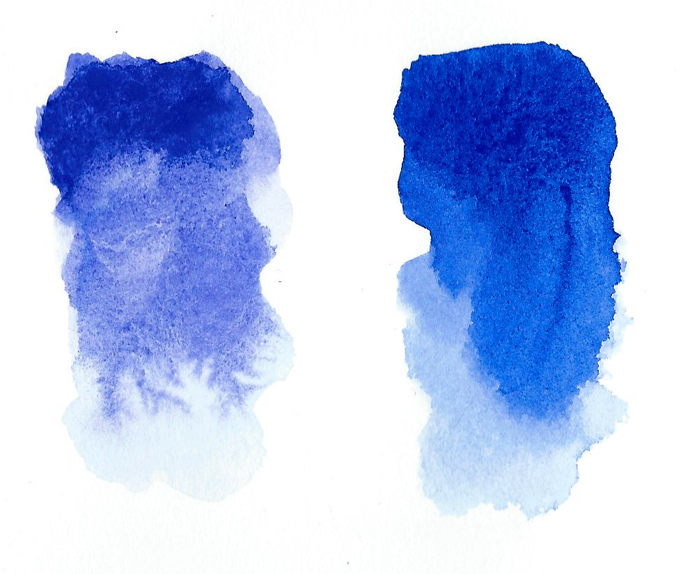 1001x824 - Watercolor Line