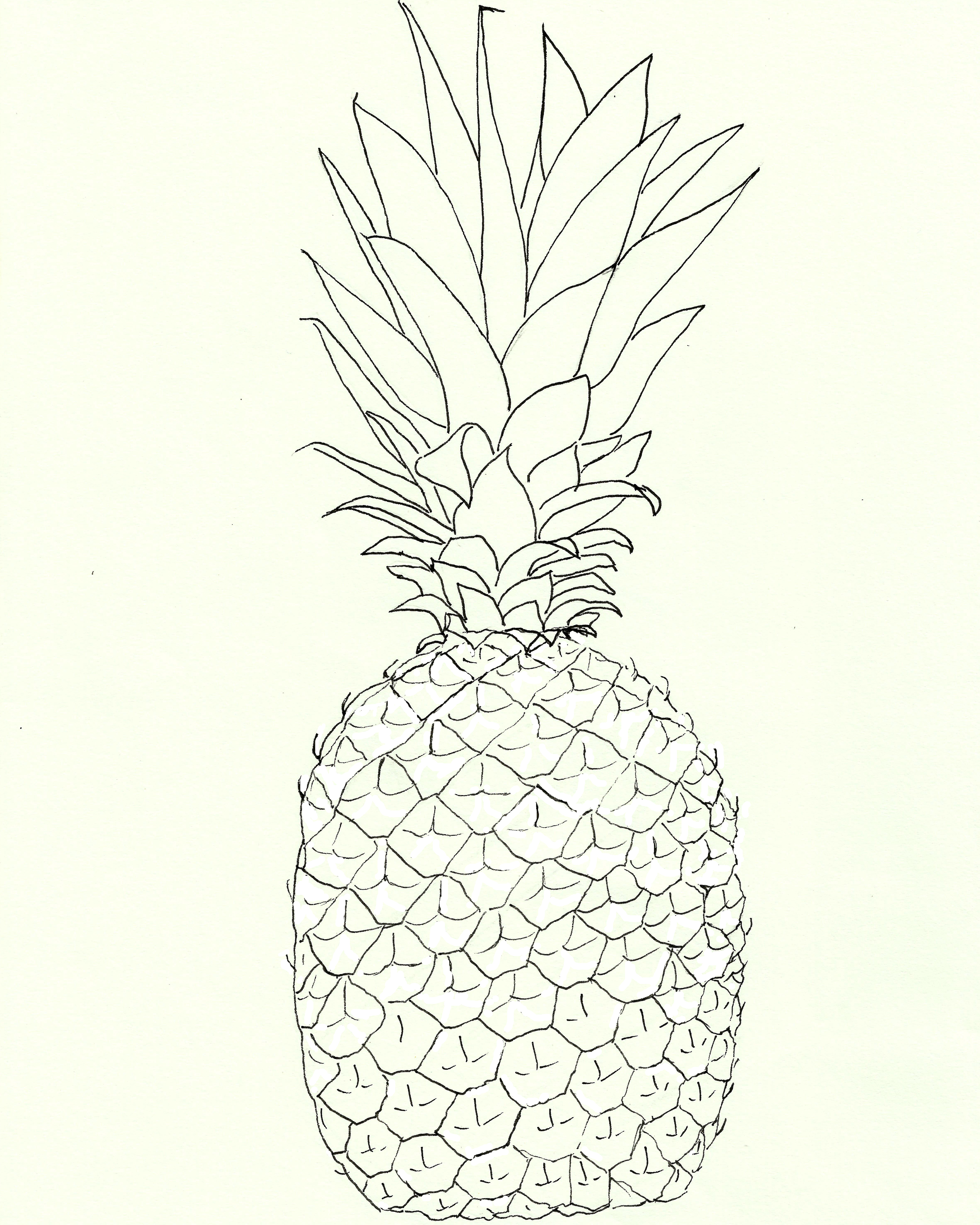 4739x5924 Free Pineapple Watercolor Printable! - Watercolor Line Art