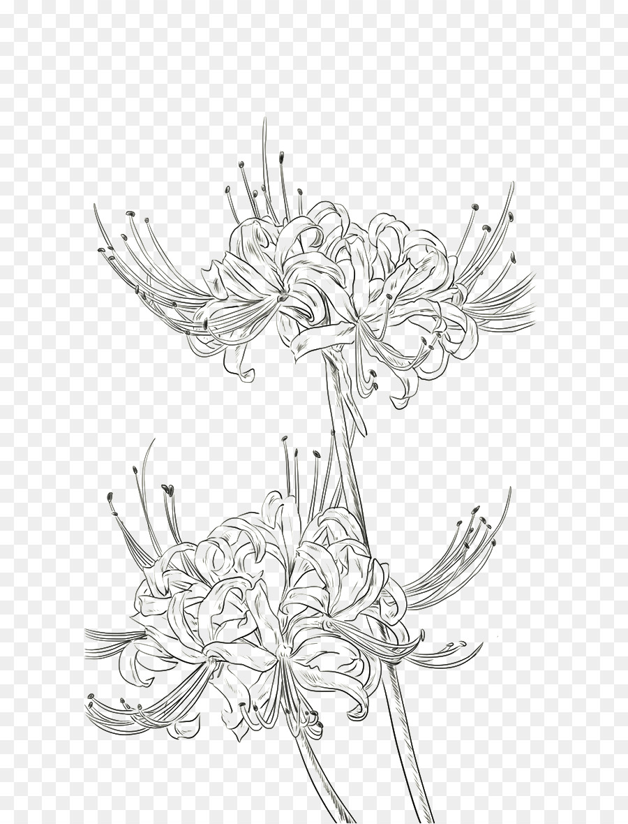 900x1180 Red Spider Lily Drawing Watercolor Painting Illustration - Watercolor Line Art