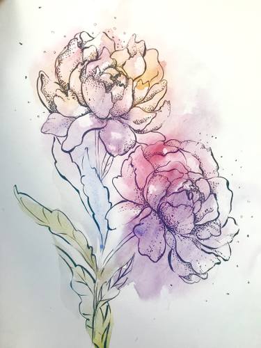 Watercolor Line Drawing Flowers | Best Flower Site