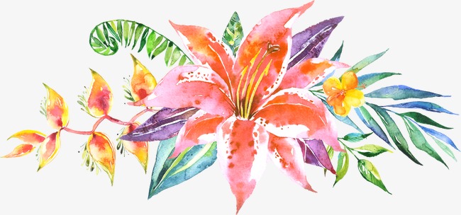 650x304 Ps Floral Material, Flowers Line Drawing, Watercolor Flowers - Watercolor Line Drawing