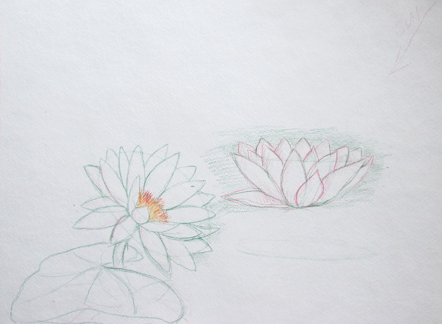 628x460 Watercolor Water Lilies Painting - Watercolor Line Drawing