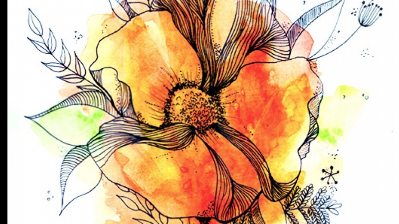 800x450 Botanical Line Drawing With Water Colour Skillshare Projects - Watercolor Line Drawing