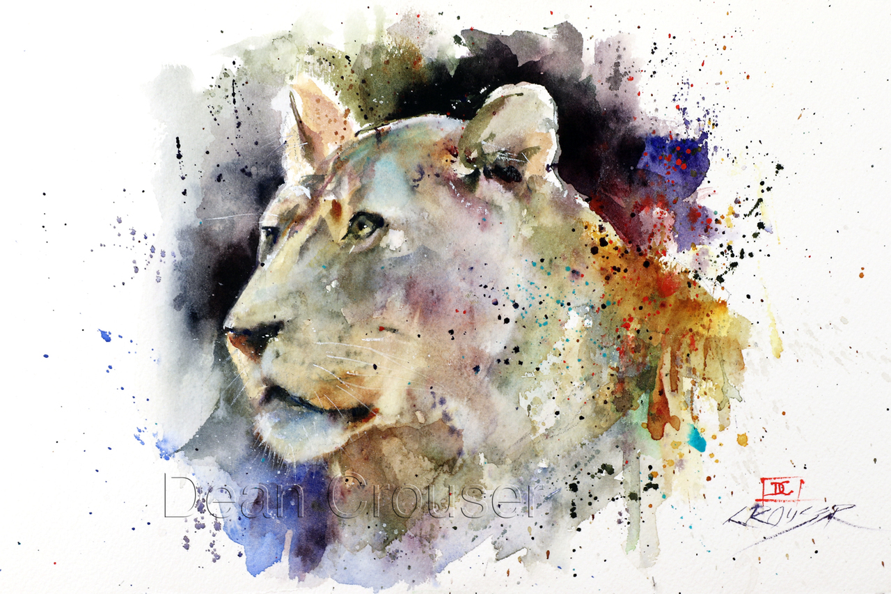 1280x853 Lioness - Watercolor Lioness