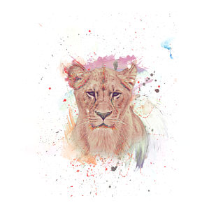 299x300 Lioness Watercolor By Nissiu Inktale - Watercolor Lioness