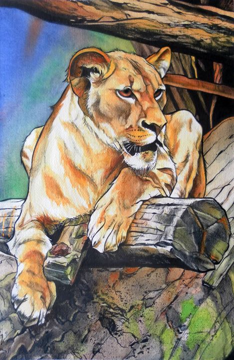 469x720 Proud Lioness - Watercolor Lioness