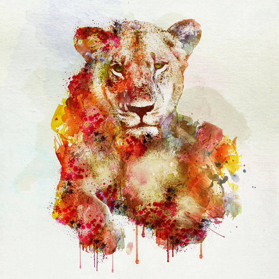 900x900 Resting Lioness In Watercolor Painting By Marian Voicu - Watercolor Lioness