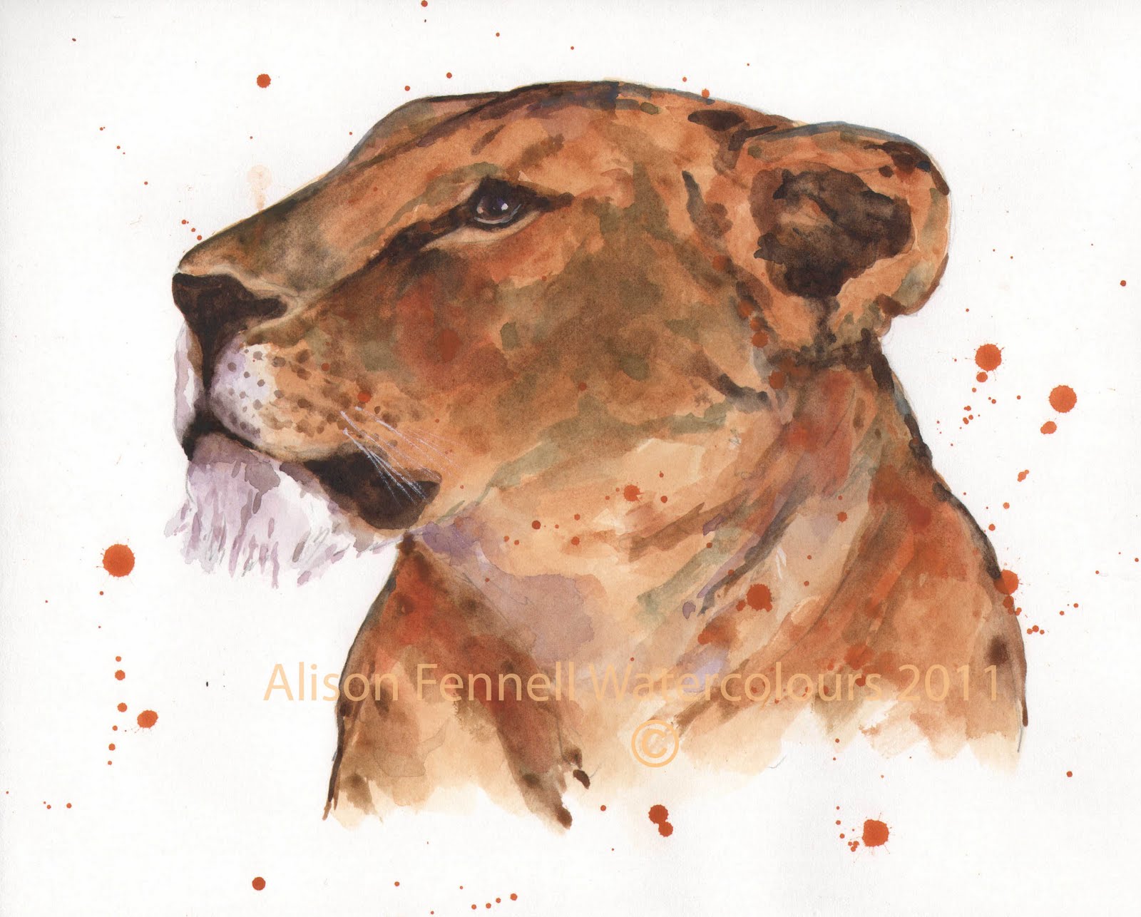 1600x1286 Totems What Animal Are You The Lioness Alison Fennell Art - Watercolor Lioness