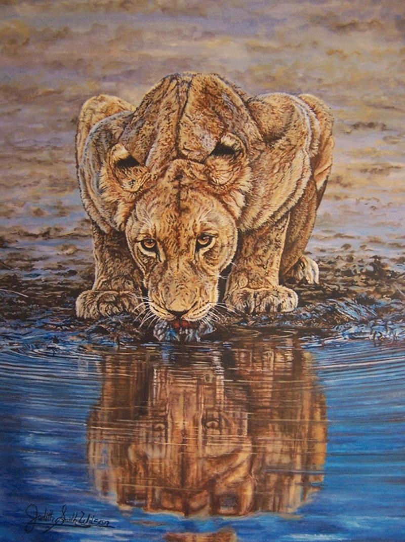 800x1071 Judith Smith Wilson Artwork Lioness At Waterhole Original - Watercolor Lioness