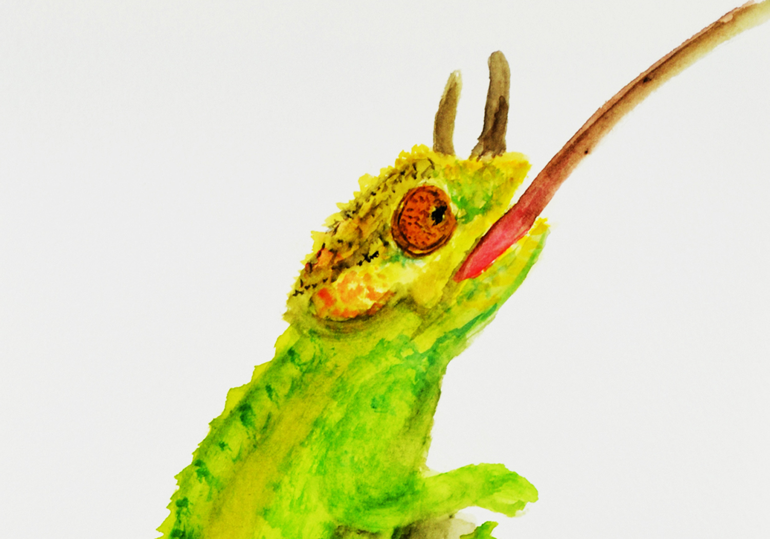 1500x1050 Jennifer Jenniee Designs Lizard Watercolor Painting - Watercolor Lizard