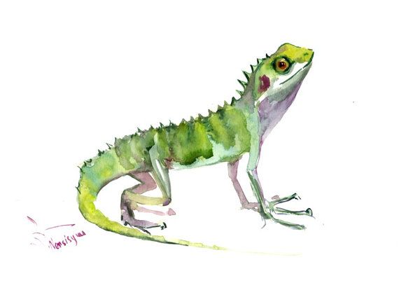 570x421 Lizard Painting, Original Watercolor Painting, 9 X 12 In, Green - Watercolor Lizard