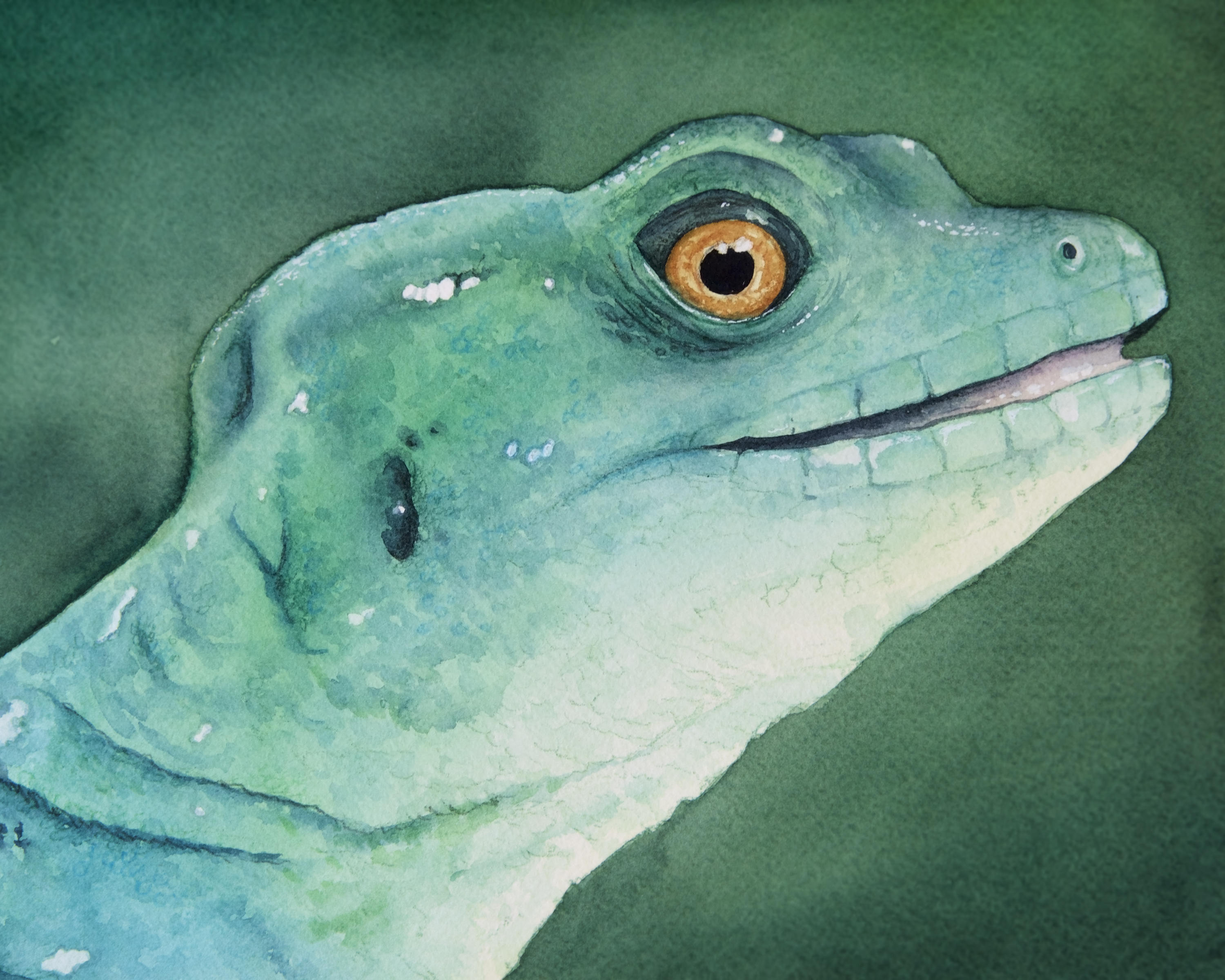 3000x2400 Retiring Last Chance Watercolor Lizard Basilisk Standard Etsy - Watercolor Lizard
