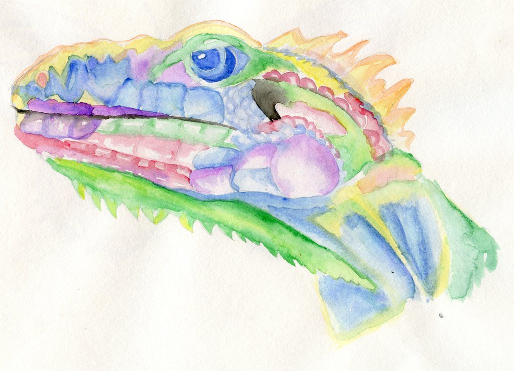 1024x740 Watercolor Lizard By Indianabatman - Watercolor Lizard