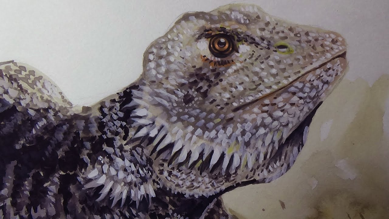 1280x720 Animal Painting - Watercolor Lizard