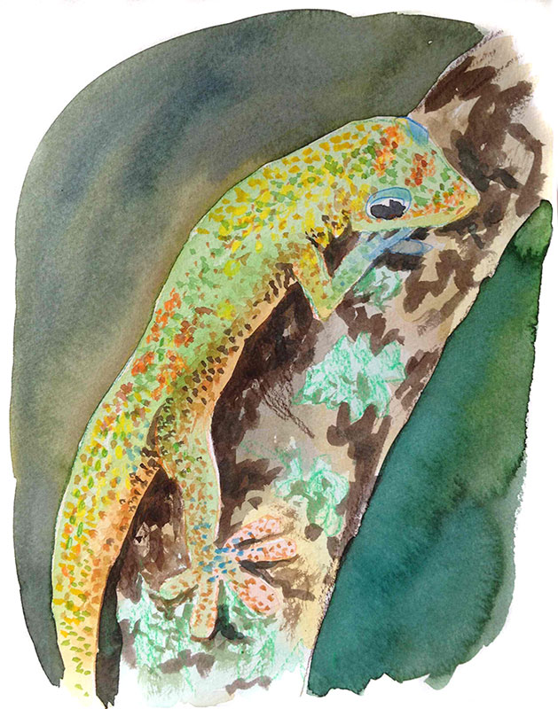 629x800 Dan Moynihan Watercolor Lizards - Watercolor Lizard