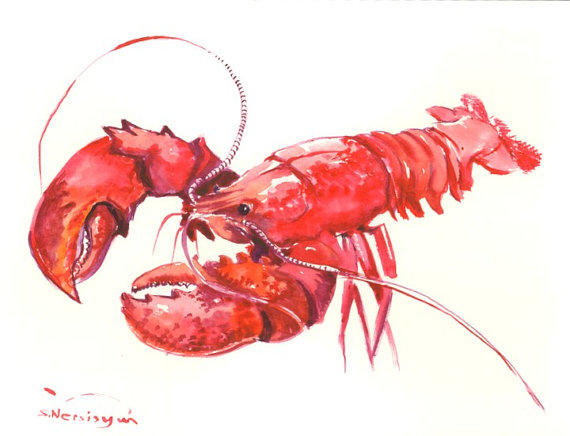 570x436 Red Lobster, Original Watercolor From Originalonly On Etsy - Watercolor Lobster