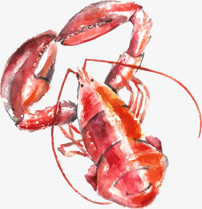 650x673 Watercolor Lobster, Watercolor Clipart, Cartoon, Hand Painted Png - Watercolor Lobster