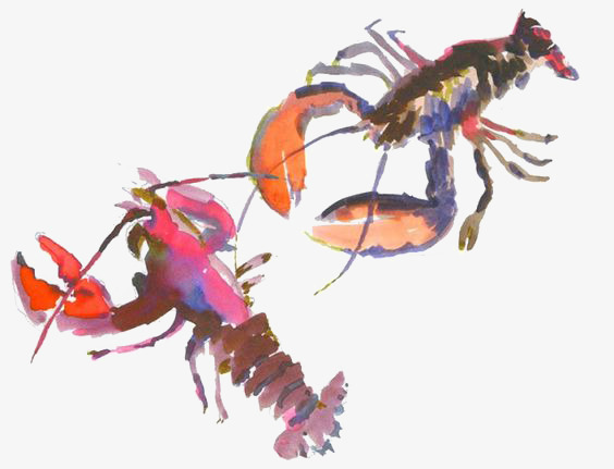 564x431 Watercolor Lobster, Watercolor Clipart, Hand Painted Lobster - Watercolor Lobster
