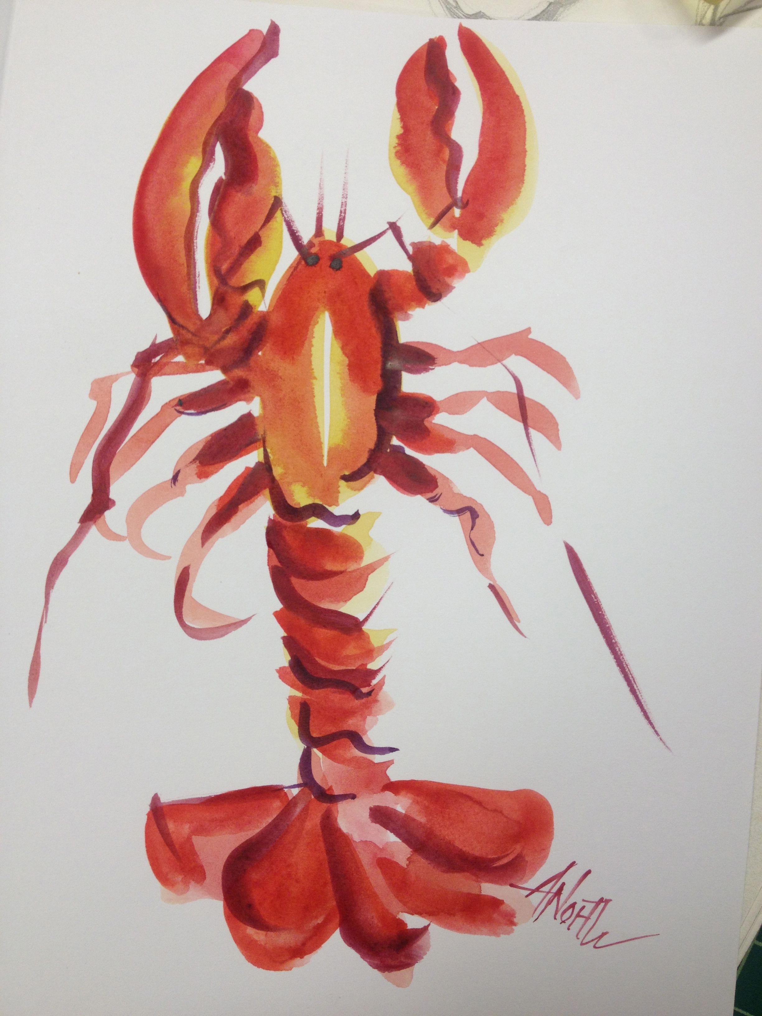 2448x3264 Ann North Watercolor Lobster Illustration Anorth Art - Watercolor Lobster
