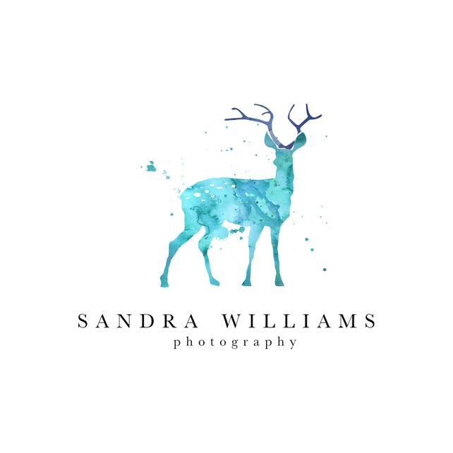 642x642 Pre Made Logo Design Blue Watercolor Deer Photography Logo Etsy - Watercolor Logo Design