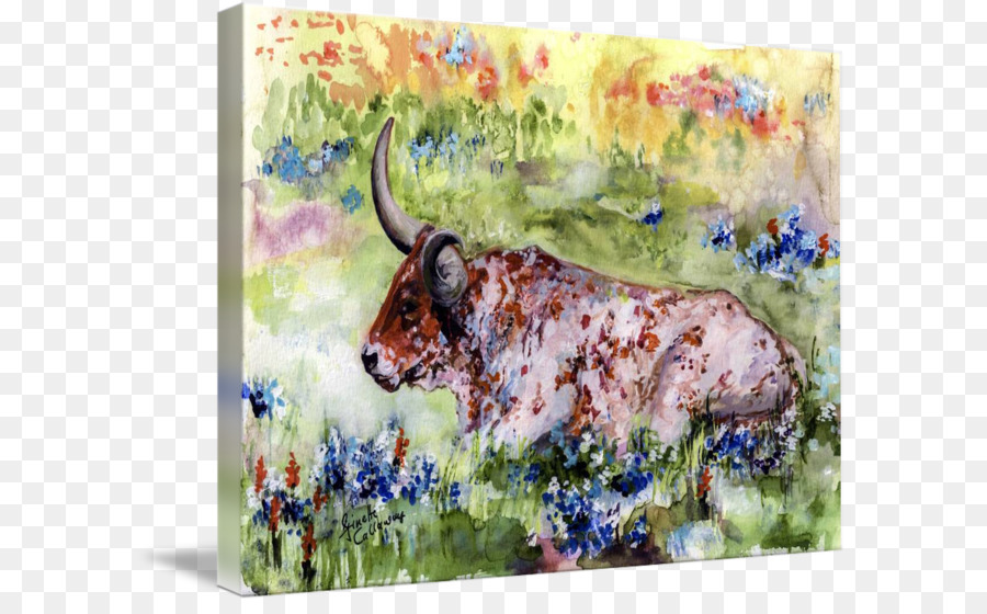 900x560 Texas Longhorn Watercolor Painting Art Canvas Print - Watercolor Longhorn