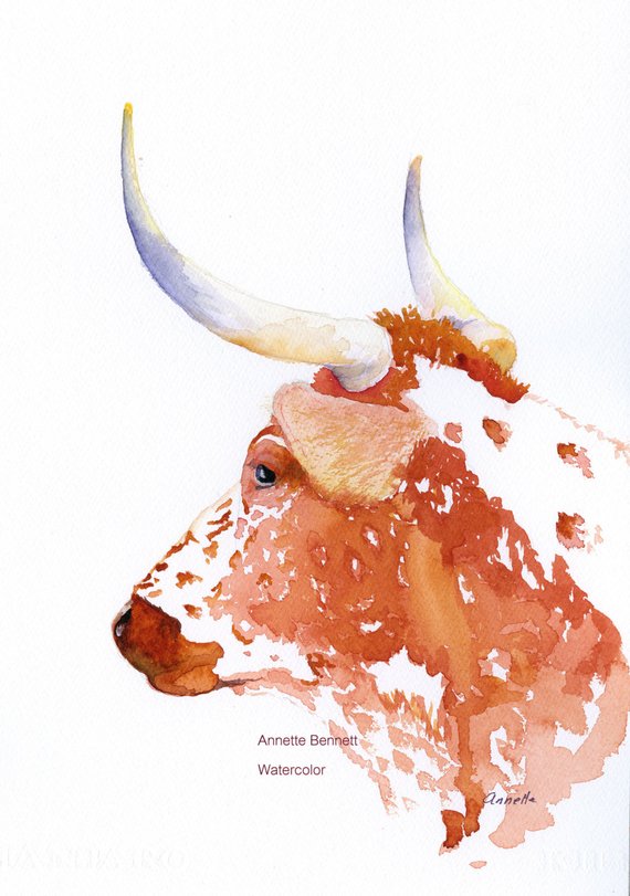570x811 Kitchen Art Cow Painting Watercolor Animal Longhorn Etsy - Watercolor Longhorn