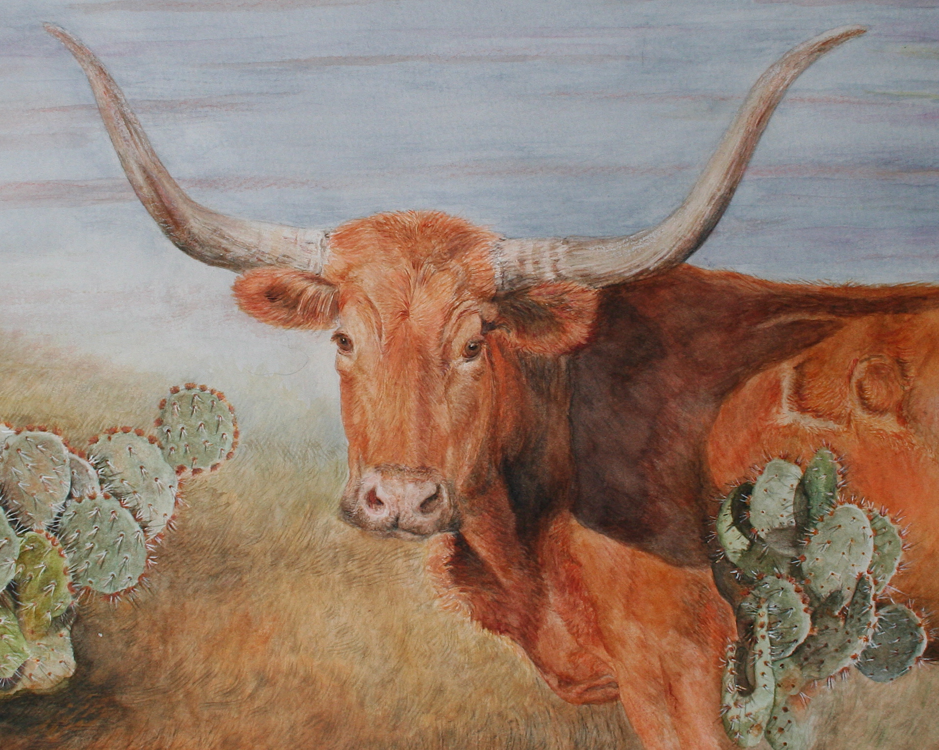 1916x1531 Paintings Of Longhorn Cattle Dana Spring Parish - Watercolor Longhorn