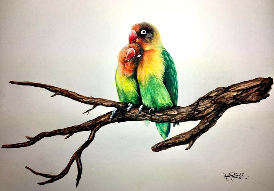 960x672 Lovebirds, Watercolor, 11x14 Art - Watercolor Love Birds