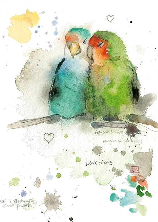 551x773 Bug Art F013 Lovebirds Greetings Card Jane Crowther - Watercolor Love Birds
