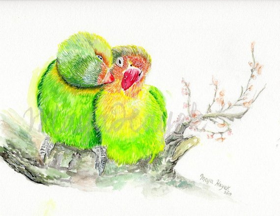 570x440 Lovebirds Painting Lovebirds Print Watercolor Loverbirds - Watercolor Love Birds